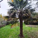 Grande Maison De 4 Avec Jardin Et Baby-foot * Trignac