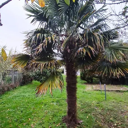Grande Maison De 4 Avec Jardin Et Baby-foot * Trignac